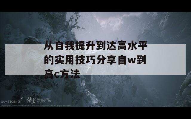 从自我提升到达高水平的实用技巧分享自w到高c方法  第1张