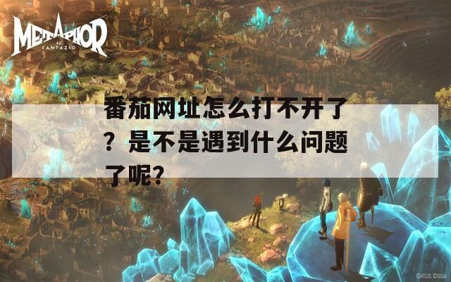 番茄网址怎么打不开了？是不是遇到什么问题了呢？  第1张