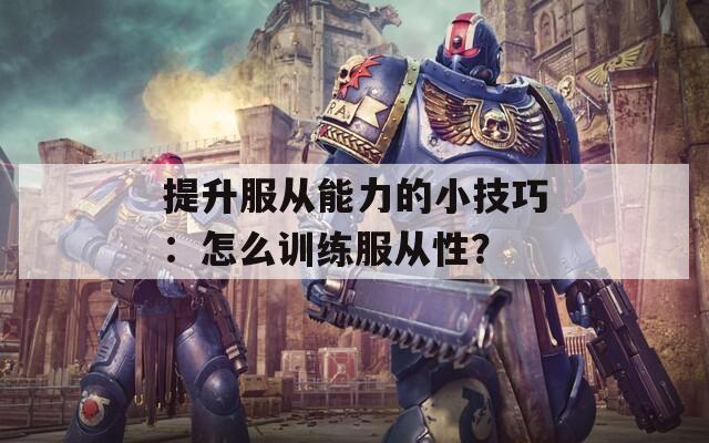 提升服从能力的小技巧：怎么训练服从性？  第1张