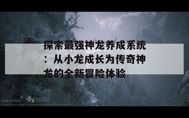 探索最强神龙养成系统：从小龙成长为传奇神龙的全新冒险体验