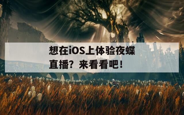 想在iOS上体验夜蝶直播？来看看吧！