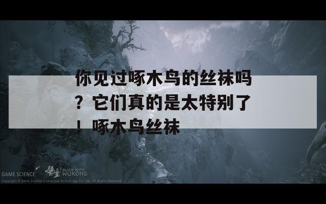 你见过啄木鸟的丝袜吗？它们真的是太特别了！啄木鸟丝袜