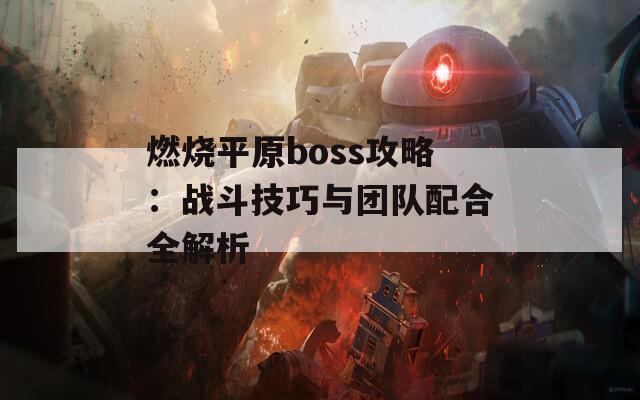 燃烧平原boss攻略：战斗技巧与团队配合全解析