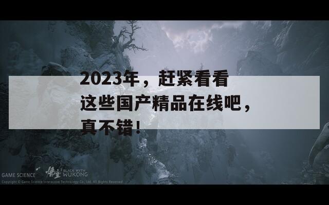 2023年，赶紧看看这些国产精品在线吧，真不错！