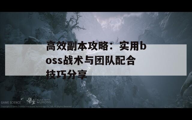 高效副本攻略：实用boss战术与团队配合技巧分享