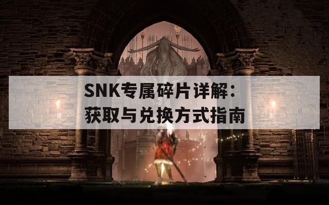 SNK专属碎片详解：获取与兑换方式指南  第1张