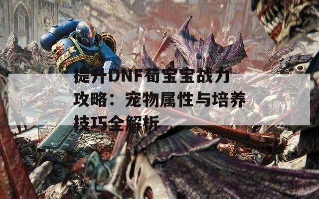 提升DNF荀宝宝战力攻略：宠物属性与培养技巧全解析