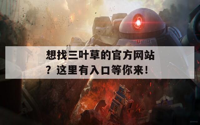 想找三叶草的官方网站？这里有入口等你来！