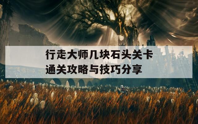 行走大师几块石头关卡通关攻略与技巧分享  第1张