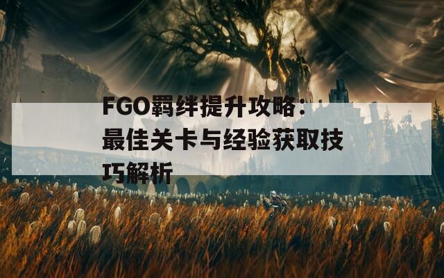 FGO羁绊提升攻略：最佳关卡与经验获取技巧解析