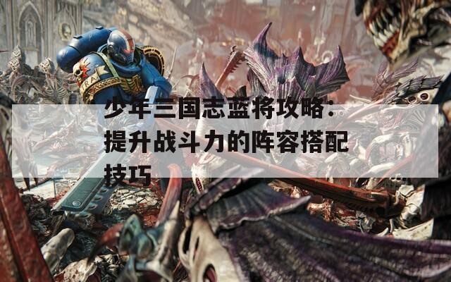 少年三国志蓝将攻略：提升战斗力的阵容搭配技巧  第1张