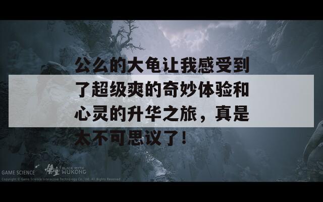 公么的大龟让我感受到了超级爽的奇妙体验和心灵的升华之旅，真是太不可思议了！