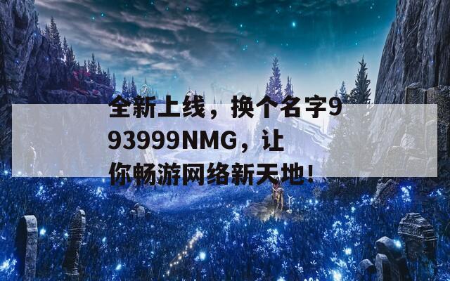 全新上线，换个名字993999NMG，让你畅游网络新天地！