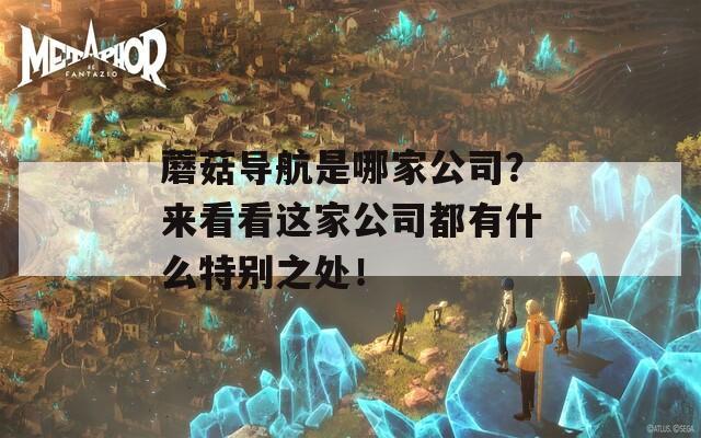 蘑菇导航是哪家公司？来看看这家公司都有什么特别之处！