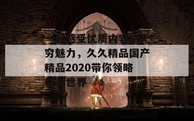 一起感受优质内容的无穷魅力，久久精品国产精品2020带你领略精彩世界