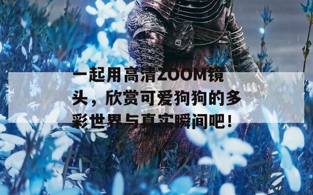 一起用高清ZOOM镜头，欣赏可爱狗狗的多彩世界与真实瞬间吧！