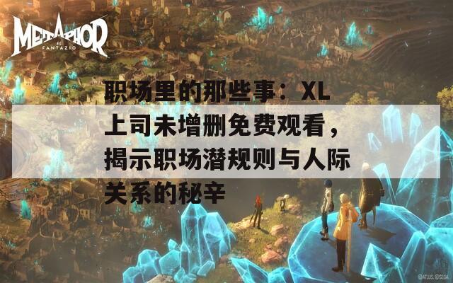 职场里的那些事：XL上司未增删免费观看，揭示职场潜规则与人际关系的秘辛