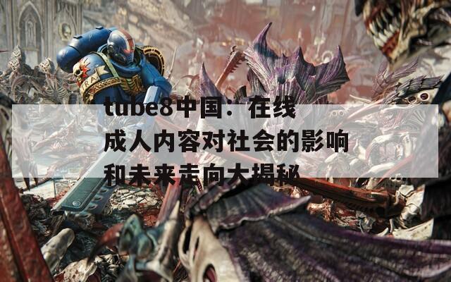 tube8中国：在线成人内容对社会的影响和未来走向大揭秘