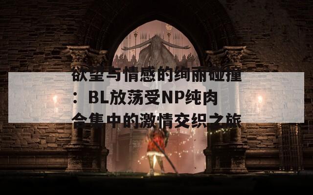 欲望与情感的绚丽碰撞：BL放荡受NP纯肉合集中的激情交织之旅