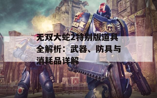 无双大蛇2特别版道具全解析：武器、防具与消耗品详解