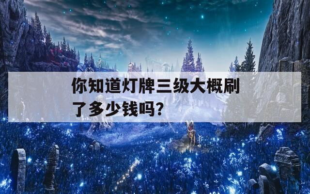 你知道灯牌三级大概刷了多少钱吗？