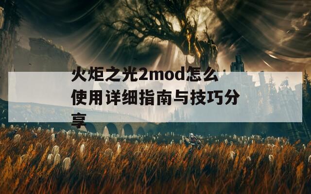 火炬之光2mod怎么使用详细指南与技巧分享