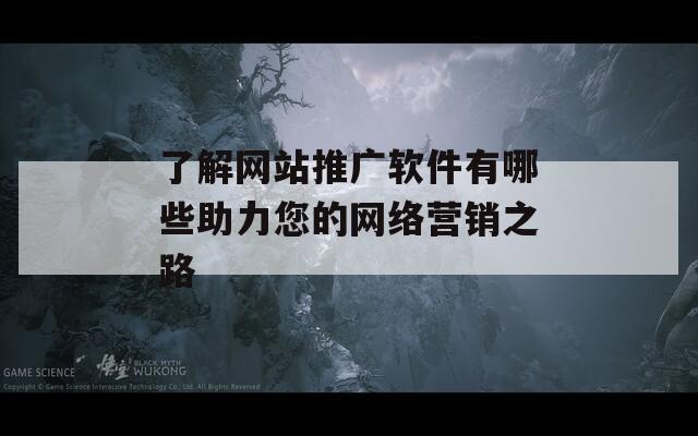 了解网站推广软件有哪些助力您的网络营销之路