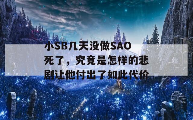 小SB几天没做SAO死了，究竟是怎样的悲剧让他付出了如此代价