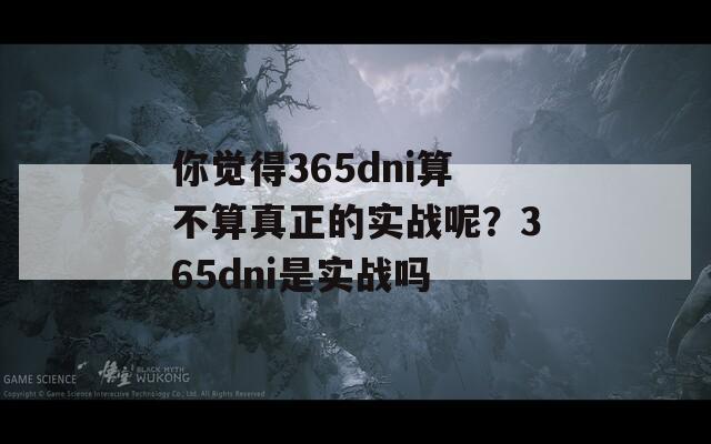 你觉得365dni算不算真正的实战呢？365dni是实战吗