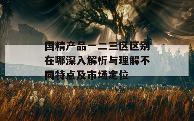 国精产品一二三区区别在哪深入解析与理解不同特点及市场定位